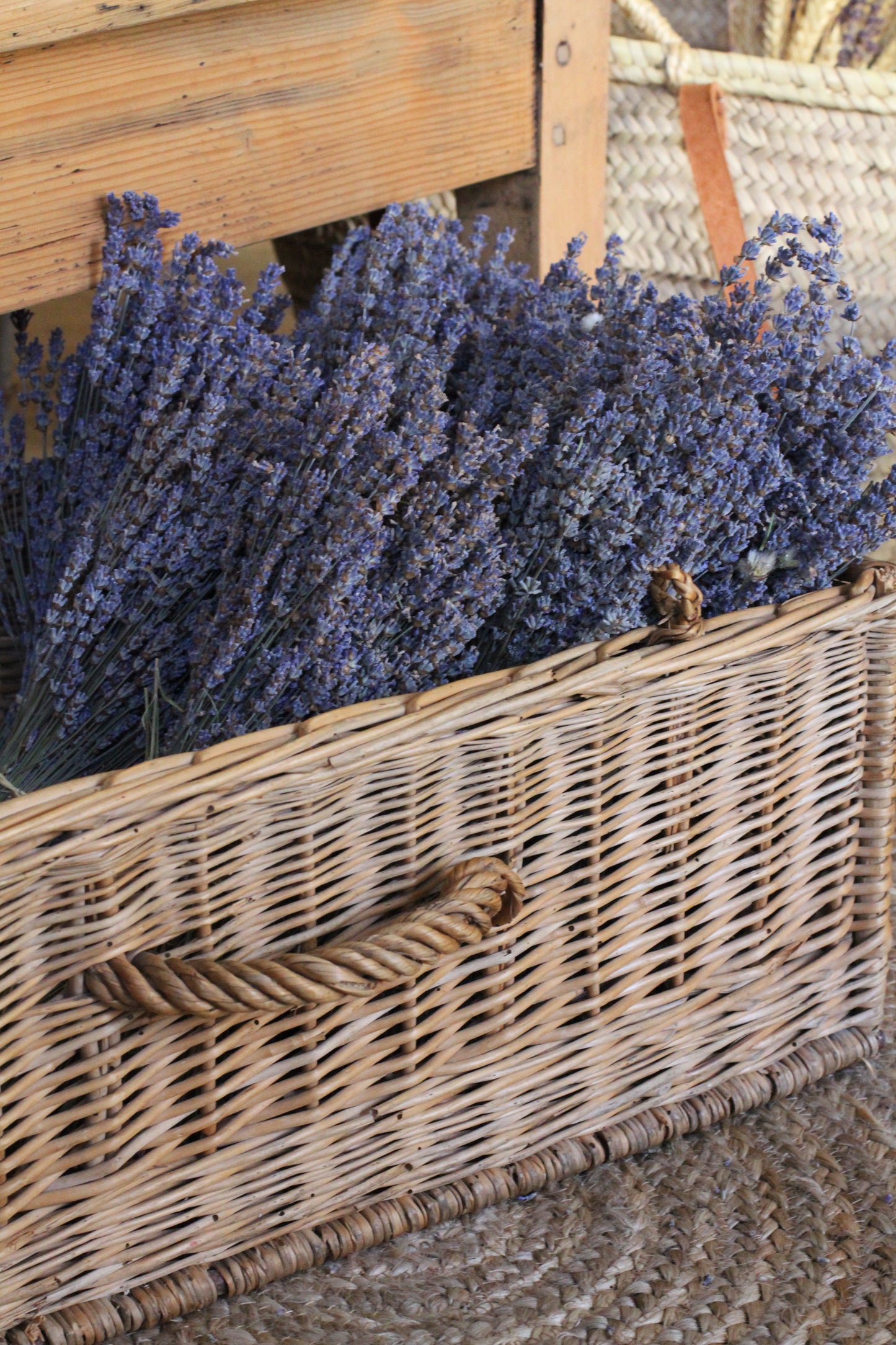 Lavender Bouquet