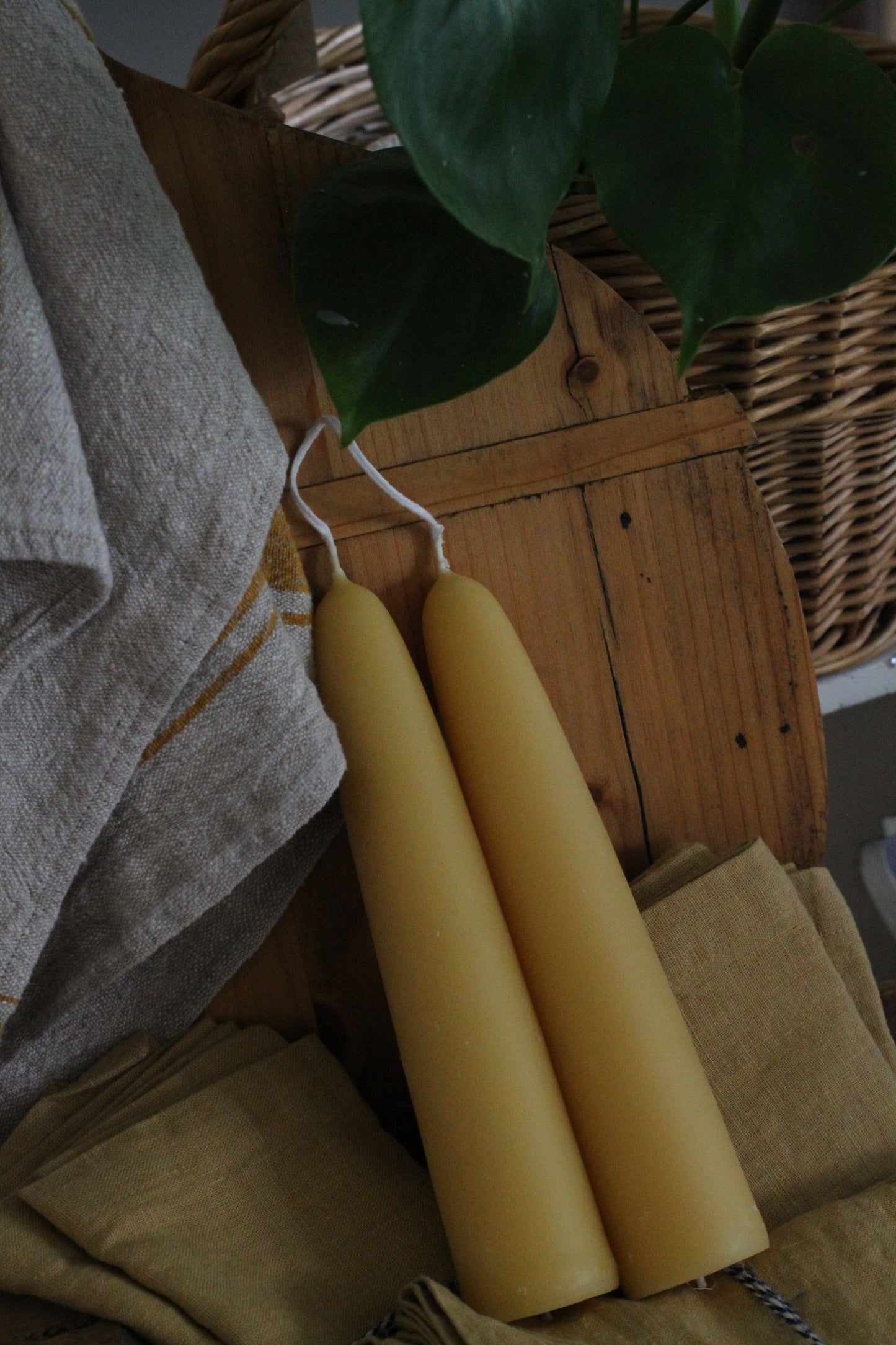 Bougie en cire d'abeille « Giant Stubby »