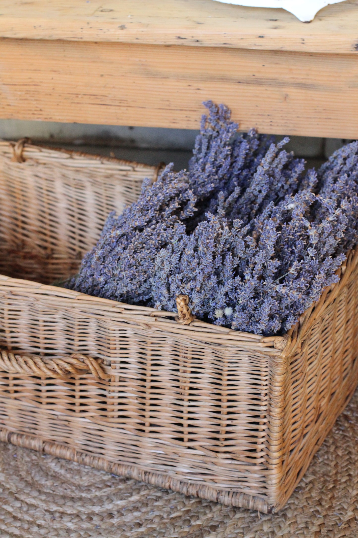 Lavender Bouquet
