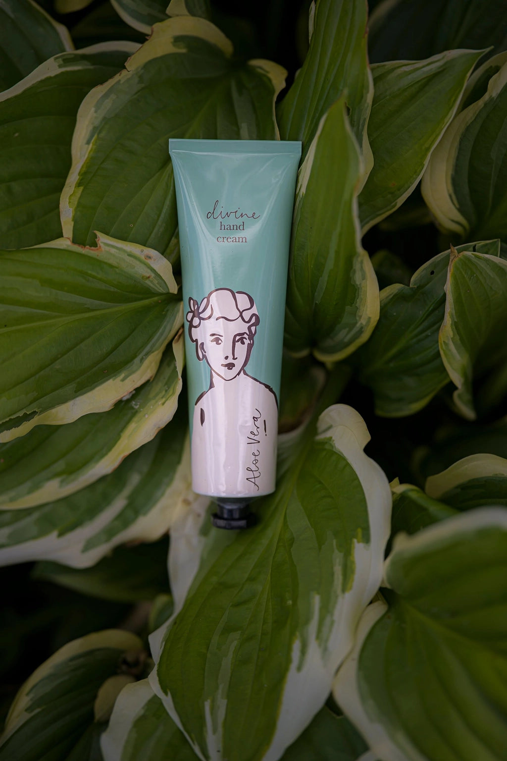 Crème pour les mains à l'aloe vera